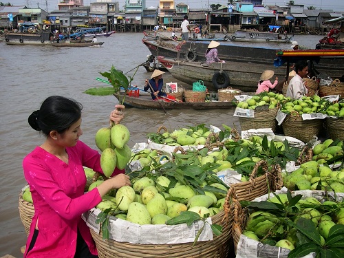 Can Tho est la terre fertile des fruits